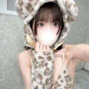 ヒメ日記 2026/04/01 23:49 投稿 もえ ウルトラドリーム