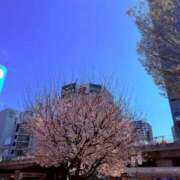 ヒメ日記 2026/03/27 12:24 投稿 つみき クラブM-1