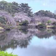 ヒメ日記 2026/03/31 16:46 投稿 つみき クラブM-1