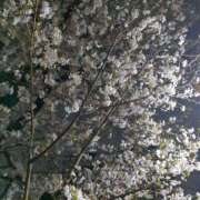 ゆあ 久々に！ 海物語