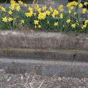 ヒメ日記 2026/03/22 22:55 投稿 さくら 熟女の風俗最終章 宇都宮店