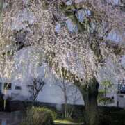 さくら 今晩わ💦 熟女の風俗最終章 宇都宮店