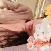 ヒメ日記 2026/03/15 11:01 投稿 清里 新宿人妻城