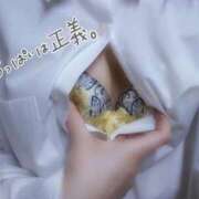 ヒメ日記 2026/03/12 20:57 投稿 ななこ 池袋千姫