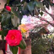 ヒメ日記 2026/03/31 15:02 投稿 椿（つばき） 松戸デリヘル　熟女ヘブン