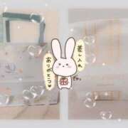 ヒメ日記 2026/03/15 00:32 投稿 あん Evolution 2nd