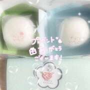 ヒメ日記 2026/05/03 16:32 投稿 あん Evolution 2nd