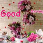 ヒメ日記 2026/04/15 06:36 投稿 愛田 桃子 こあくまな熟女たち 静岡店（KOAKUMAグループ）