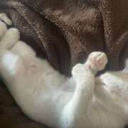 ヒメ日記 2026/04/16 22:25 投稿 あずさ VIVID CREW Pink Party Paradise