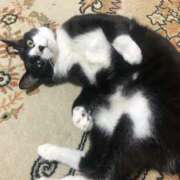 あずさ すみません、、 VIVID CREW Pink Party Paradise