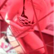 ヒメ日記 2026/04/30 17:11 投稿 あずさ VIVID CREW Pink Party Paradise