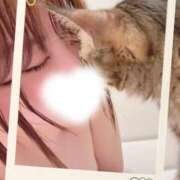 ヒメ日記 2026/03/04 12:20 投稿 アカネ【FG系列】 デリぽちゃin松戸（FG系列）