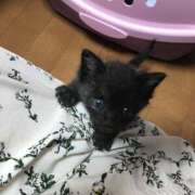 ヒメ日記 2026/06/30 15:32 投稿 なぎ 熟女の風俗最終章 宇都宮店