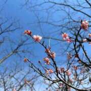 ヒメ日記 2026/03/18 23:00 投稿 瀬戸やよい ウフフな40。ムフフな50。。（横浜ハレ系）