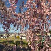 ヒメ日記 2026/04/17 07:01 投稿 瀬戸やよい ウフフな40。ムフフな50。。（横浜ハレ系）