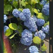 ヒメ日記 2026/06/14 19:00 投稿 瀬戸やよい ウフフな40。ムフフな50。。（横浜ハレ系）