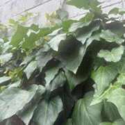 ヒメ日記 2026/07/06 13:43 投稿 瀬戸やよい ウフフな40。ムフフな50。。（横浜ハレ系）