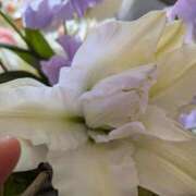 ヒメ日記 2026/03/24 09:36 投稿 さりか 千葉サンキュー