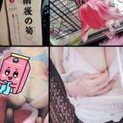 ヒメ日記 2026/04/02 09:01 投稿 さりか 千葉サンキュー