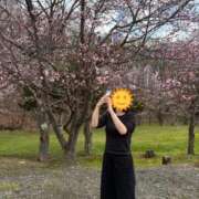 ヒメ日記 2026/05/11 11:33 投稿 初音 れん Mの世界