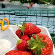 ヒメ日記 2026/03/10 13:16 投稿 さりな 熟女総本店 日本橋ミナミエリア店