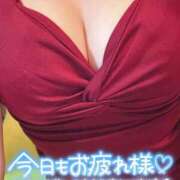 ヒメ日記 2026/03/08 00:56 投稿 ゆき ZERO-i