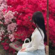 ヒメ日記 2026/04/26 12:18 投稿 れいな わちゃわちゃ密着リアルフルーちゅ西船橋