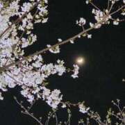 ヒメ日記 2026/03/28 13:47 投稿 蓮見 昼顔妻 五反田店