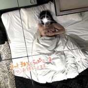 ヒメ日記 2026/03/12 20:39 投稿 ゆめの ピンキーエコ