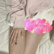 ヒメ日記 2026/04/05 17:26 投稿 ゆめの ピンキーエコ