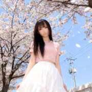 ヒメ日記 2026/03/27 00:55 投稿 せしる E+アイドルスクール新宿・歌舞伎町店