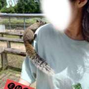 ヒメ日記 2026/03/20 21:38 投稿 江麻【えま】 ギャルズネットワークネクスト 京都