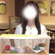 ヒメ日記 2026/03/03 01:13 投稿 一恋【イコ】 LOVEキタ兎我野店