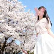 ヒメ日記 2026/04/07 17:43 投稿 一恋【イコ】 LOVEキタ兎我野店