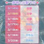 ヒメ日記 2026/03/14 10:37 投稿 きよ ハピネス東京