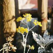 ヒメ日記 2026/03/28 04:47 投稿 きよ ハピネス東京