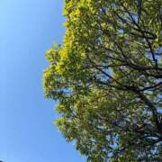 ヒメ日記 2026/04/03 09:57 投稿 きよ ハピネス東京