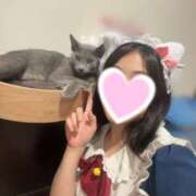 ヒメ日記 2026/07/25 06:08 投稿 きよ ハピネス東京