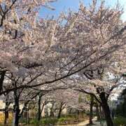 ヒメ日記 2026/04/01 12:06 投稿 葉月　えみり YOKOHAMA FIVESTAR（横浜ファイブスター）