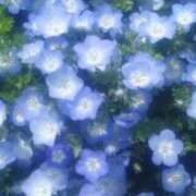 ヒメ日記 2026/04/27 11:29 投稿 かな　格別の美しさと大人の余韻 CELEB FACE NAKASU