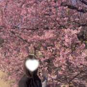 ヒメ日記 2026/03/27 11:19 投稿 あさ 上野・鶯谷スピン