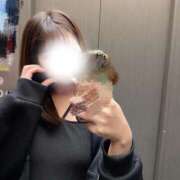 ヒメ日記 2026/09/25 01:34 投稿 詩音-しおん【FG系列】 ほんつま 町田/相模原店