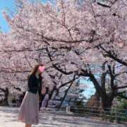 釘宮 恋春 お花見🌸 クラブアイリス大阪