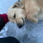 ヒメ日記 2026/03/11 05:12 投稿 みなみ ごほうびSPA上野店