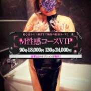 ヒメ日記 2025/02/10 12:49 投稿 南 BBW（ビッグビューティフルウーマン）