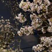 ヒメ日記 2025/03/14 18:22 投稿 南 BBW（ビッグビューティフルウーマン）