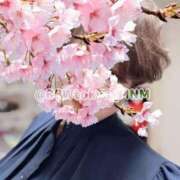 ヒメ日記 2025/03/23 22:20 投稿 南 BBW（ビッグビューティフルウーマン）