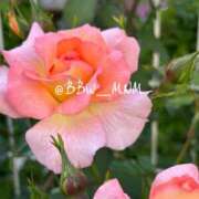 ヒメ日記 2025/05/07 08:01 投稿 南 BBW（ビッグビューティフルウーマン）