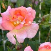 ヒメ日記 2025/05/07 08:19 投稿 南 BBW（ビッグビューティフルウーマン）