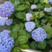 ヒメ日記 2025/06/12 21:09 投稿 南 BBW（ビッグビューティフルウーマン）